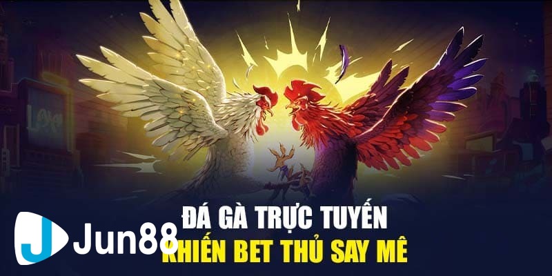 tỷ lệ cược đá gà trực tuyến Tổng hợp các loại kèo tỷ lệ cược đá gà trực tuyến phổ biến
