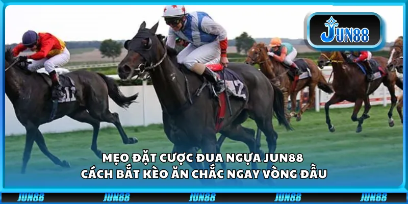 Mẹo đặt cược đua ngựa Jun88 – Cách bắt kèo ăn chắc ngay vòng đầu